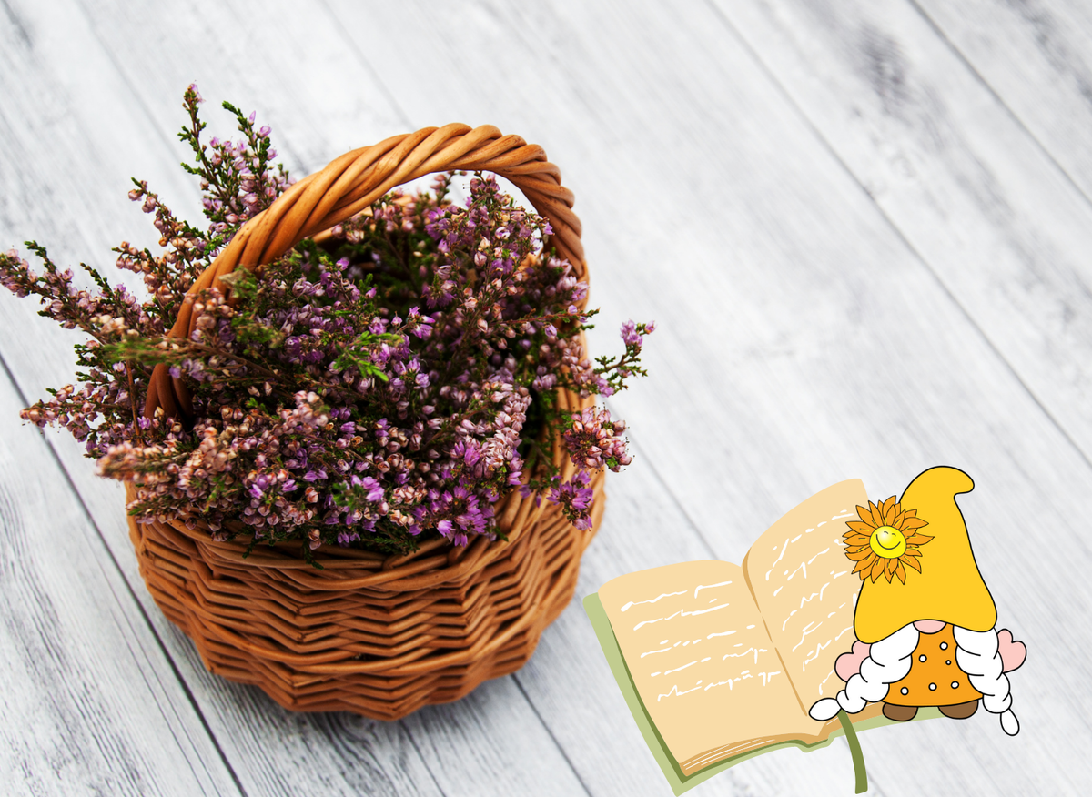 Корзинка счастья