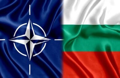 Источник фото: Яндекс.картинки