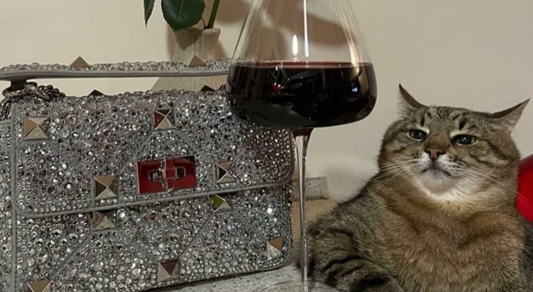 Фото: loveyoustepan