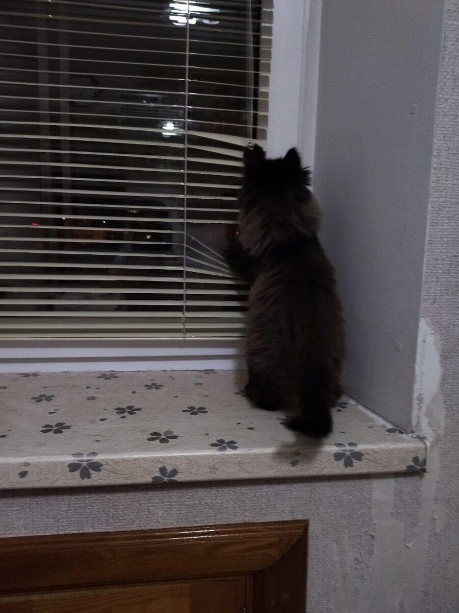 Как же чертовски красив ночной Хабаровск.