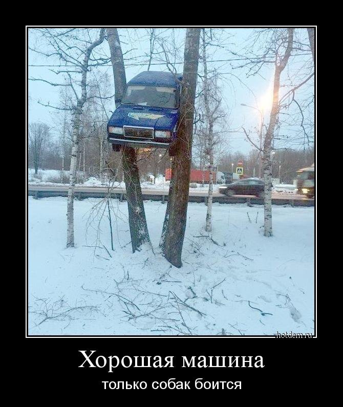 две фуры едут за грибами