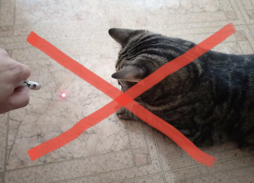 Лучше не стоит! 