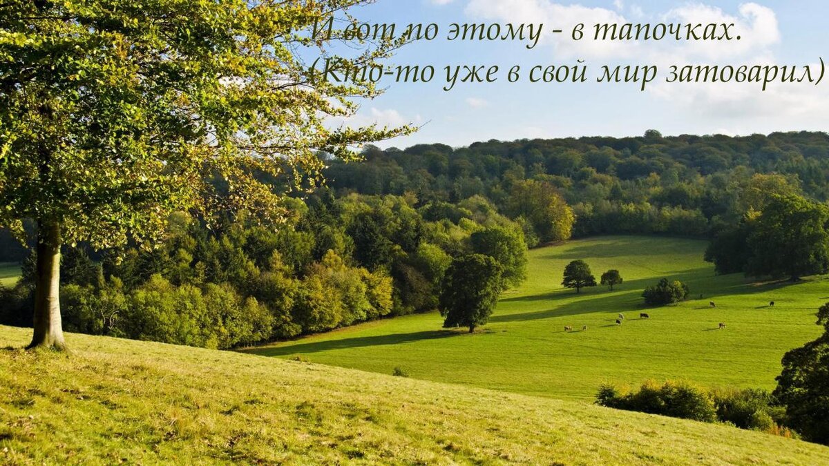 Как-то так примерно попала Мила. Дальше ещё картинка.