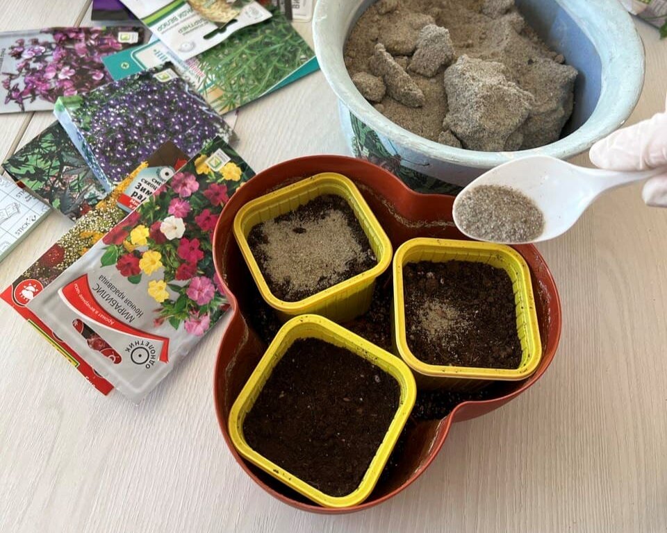сверху небольшой слой песка
