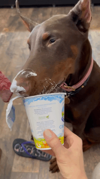 Всем здрасьте))) Нас зовут Персик))) 🍑 будем знакомы