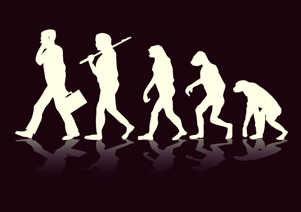 Научные достижения Чарльза Дарвина до сих пор вызывают споры. Правда, не среди учёных, они давно их признали, а среди общественности. Скорее всего, уж больно похожи на нас эти животные. И в 21 веке мифы о великом учёном продолжают занимать умы наших современников.