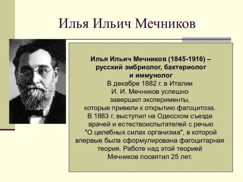 Мечников И.И. - основатель клеточно-гуморальной иммунологии