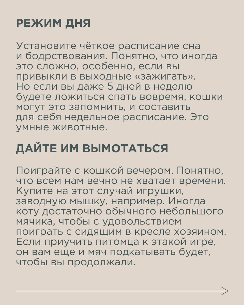 Ночь, комната, погром, котейка... Если у вас дома есть коты, думаем, вы не  раз просыпались от шума, прыжков и мяуканья | Новый очаг | Дзен