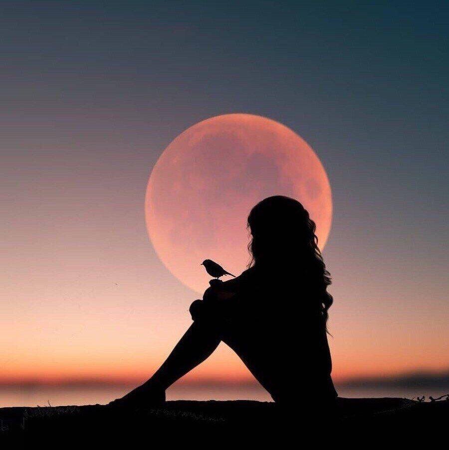 Для иллюстрации. Источник - Яндекс Картинки