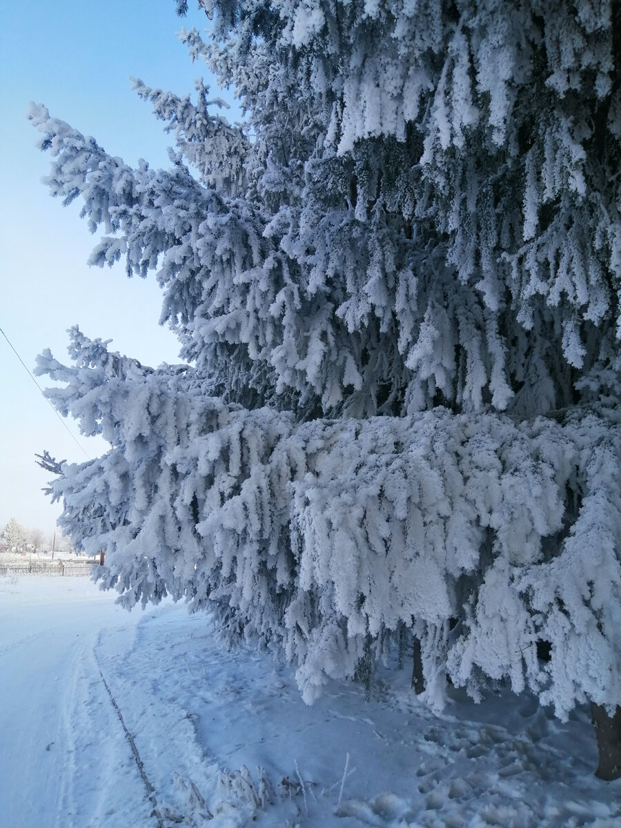 Фото сделала в последний день зимы)) 