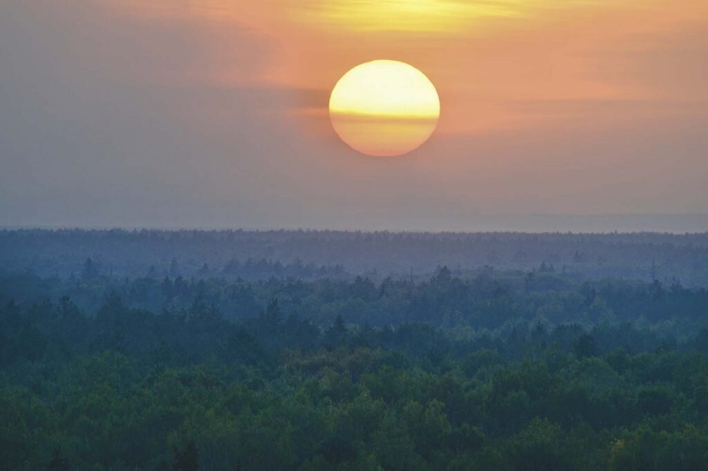 Пейзаж с уходящим за горизонт лесом