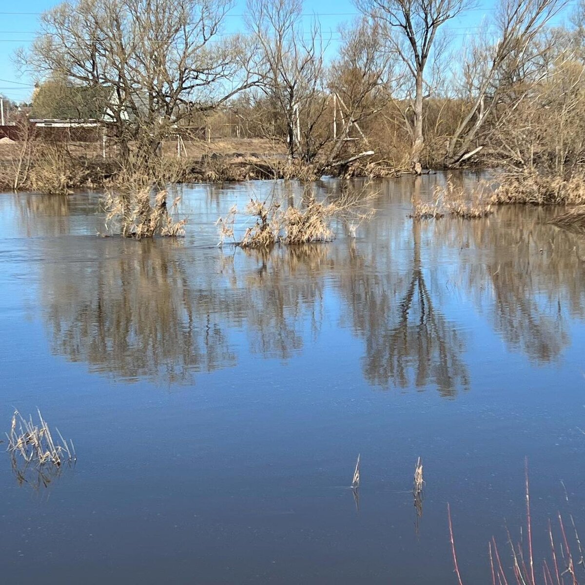 Фото природы моего края. Не мое, любезно предоставленное другом