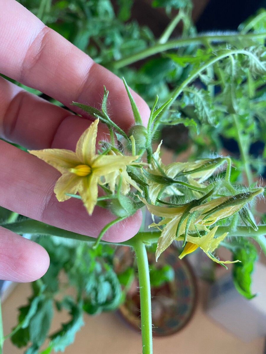 Личное фото 