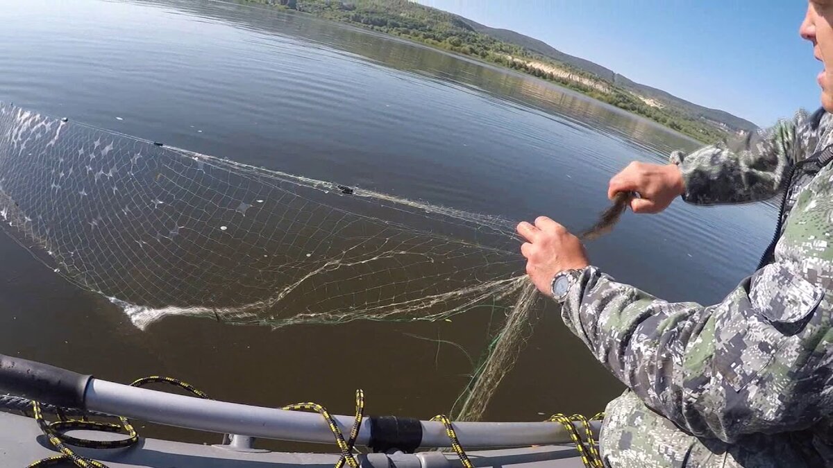 фото: Яндекс. Картинки 