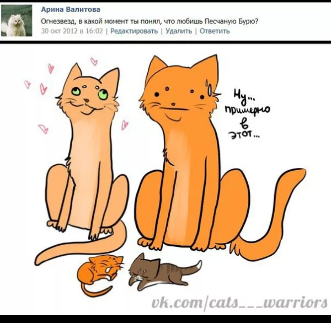 Коты Воители мемы Огнезвёзд