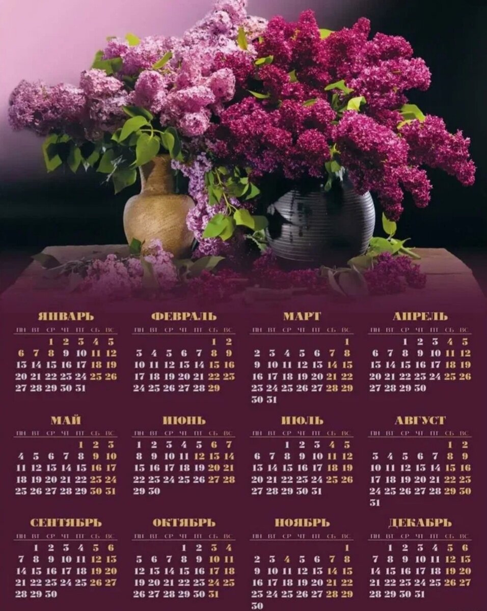 Фото взято из интернета