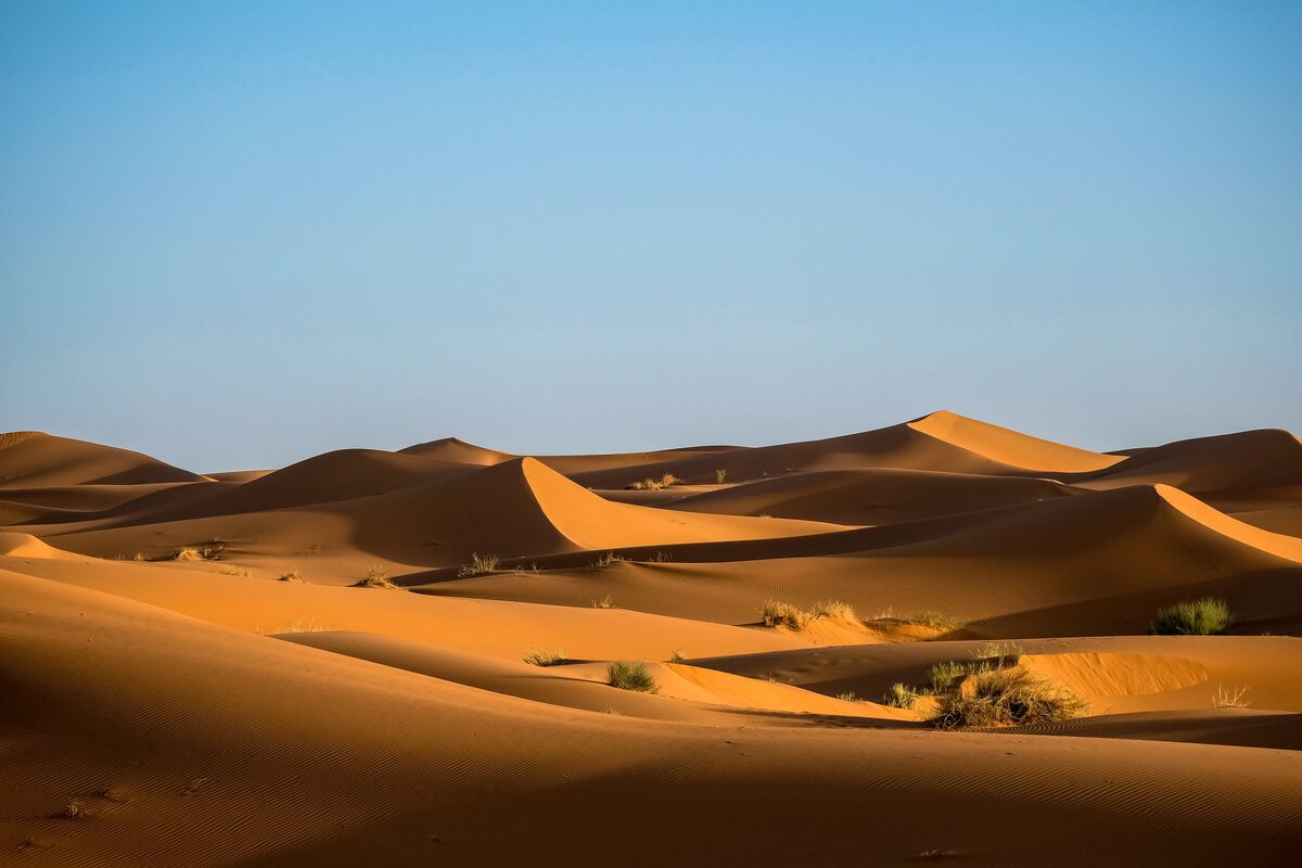 Сахара. у истоков человеческой цивилизации