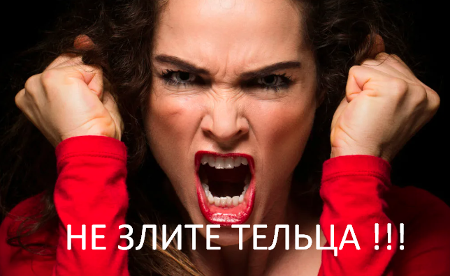 Фото из открытого источника Яндекс