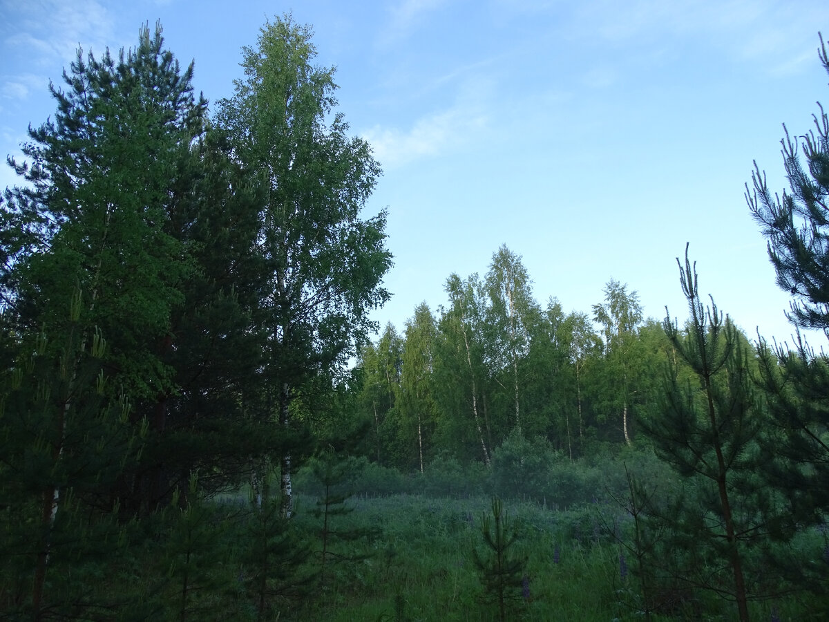 Фото Старого Солдата