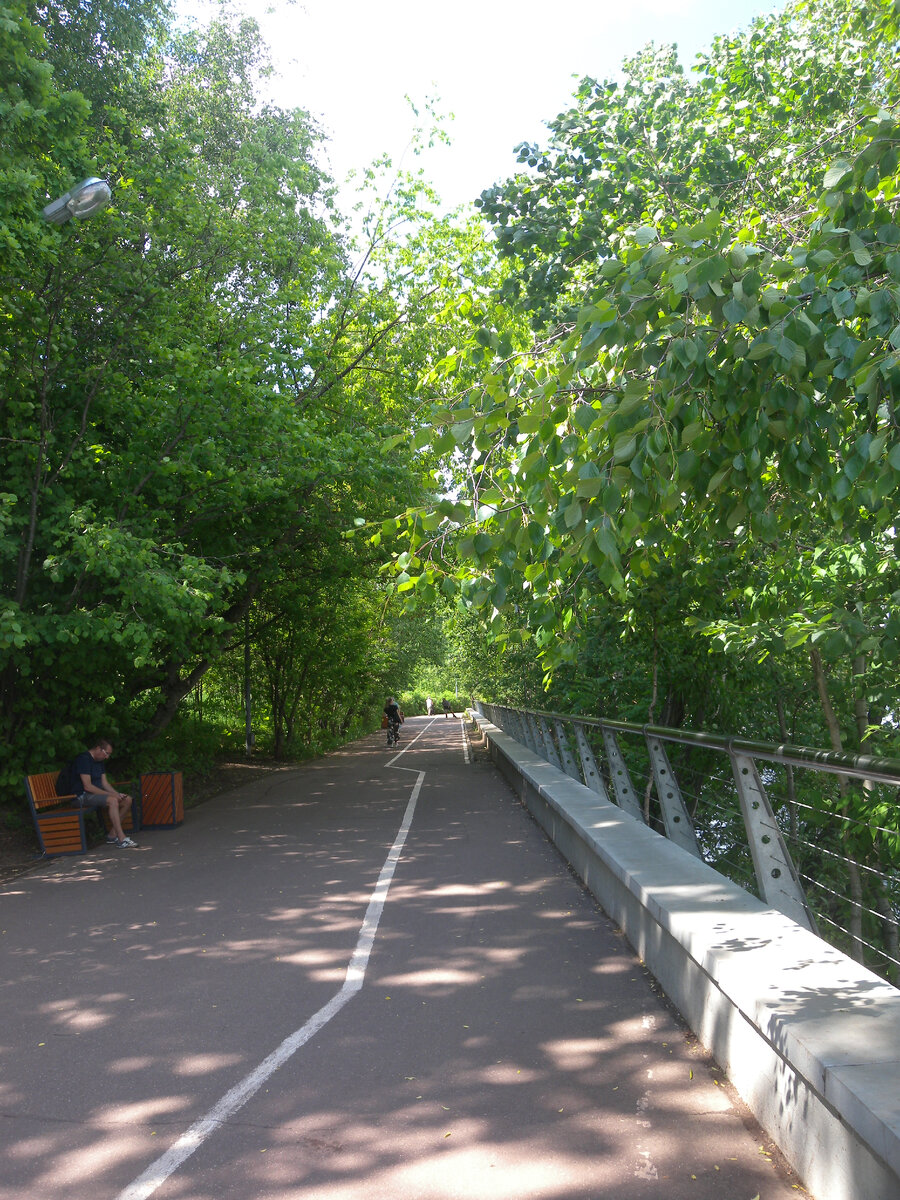 Велодорожка в тени деревьев