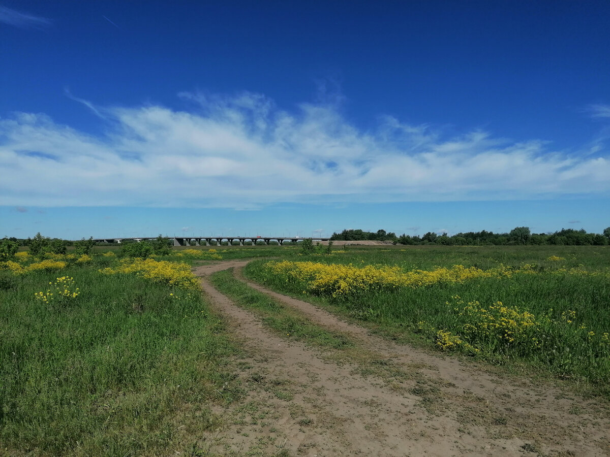 Съезд с моста: дороги и тропинки убегают  в поля