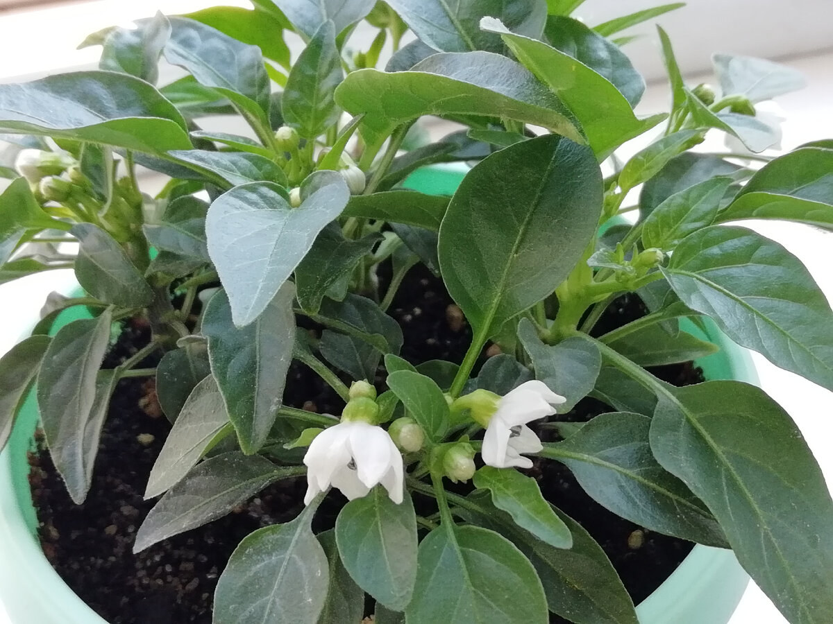 Фото автора канала 