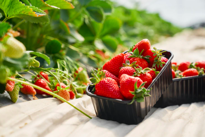     Аллергия на клубнику: почему она бывает и как с ней бороться