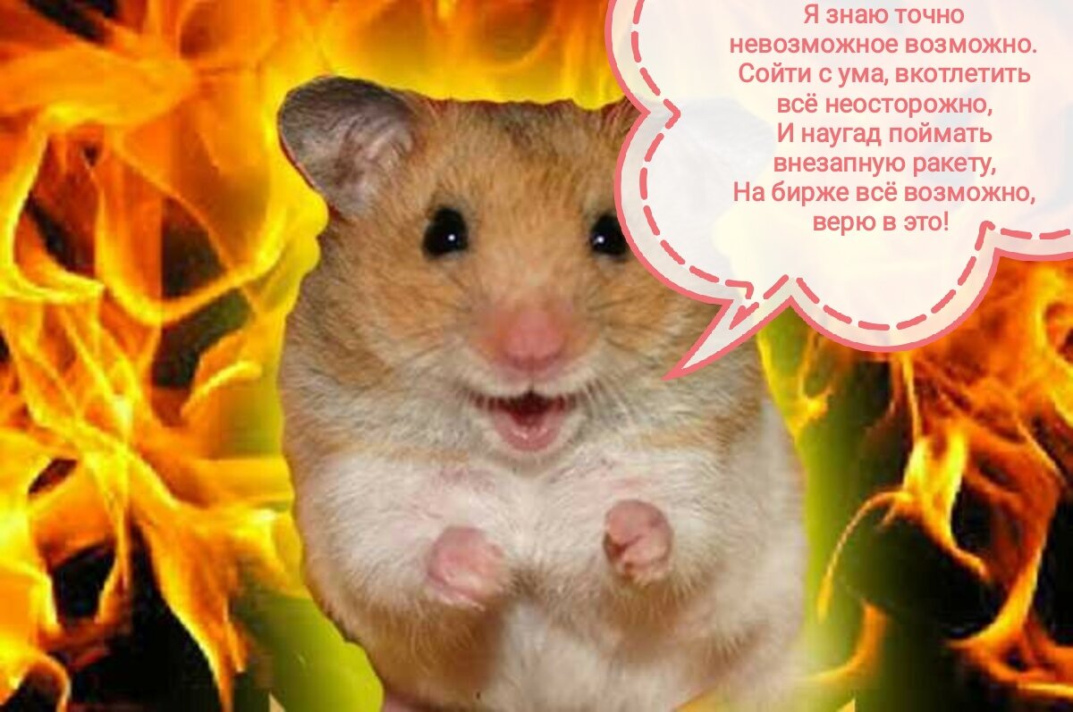 Любитель горячих пирожков 