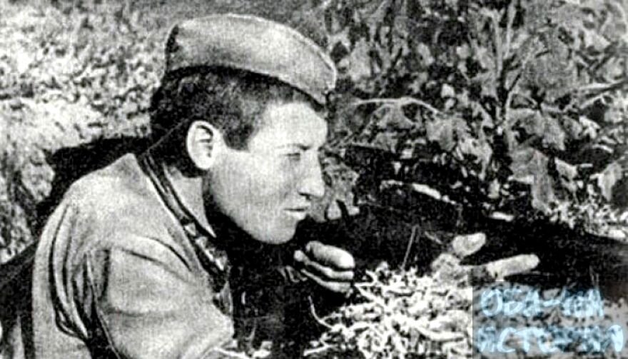 М. И. Сурков на позиции