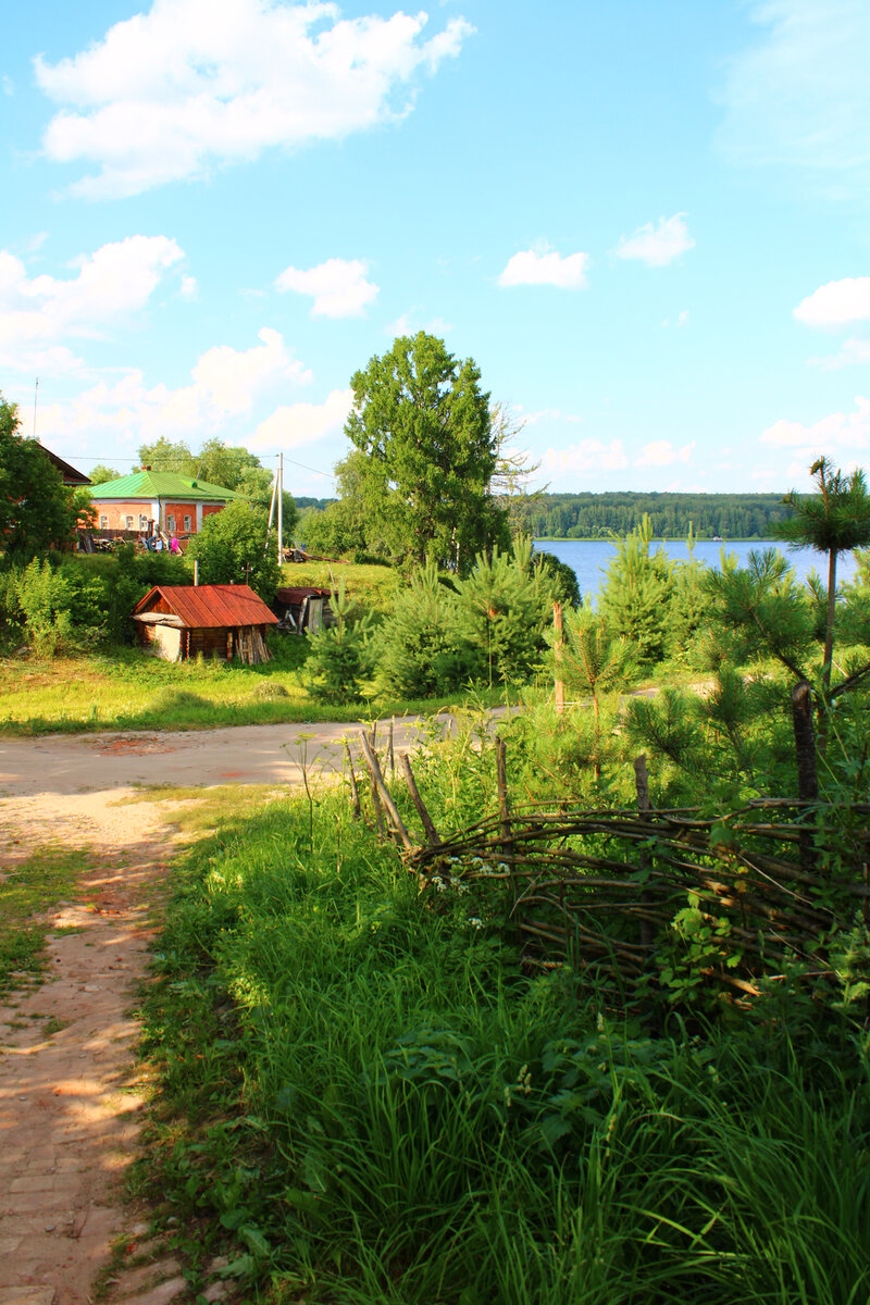 Самое красивое село в Костромской области (по-моему мнению) | Глушкова  Маргарита | Дзен