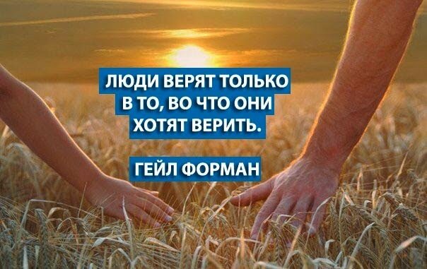 Из открытых источников Yandex