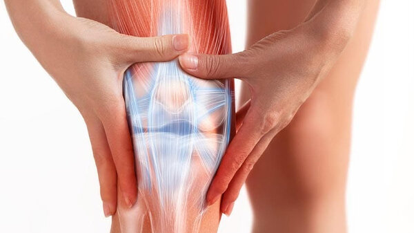 Коленный сустав - самый большой в нашем теле, его конструкция очень сложна