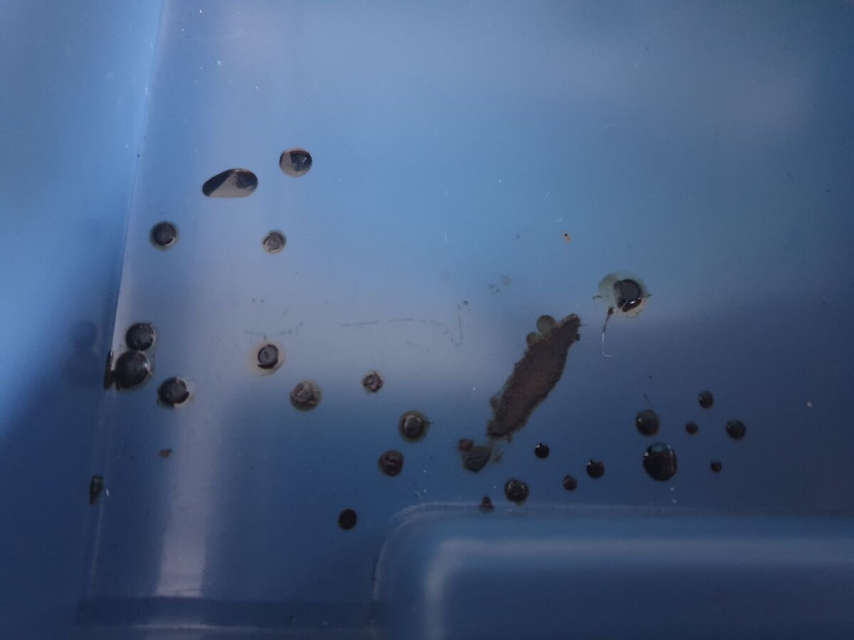 Листаем, офигеваем :)))