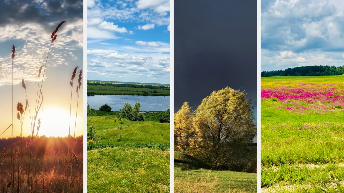 Фотоконкурс на белом фоне. Компания цвет лета