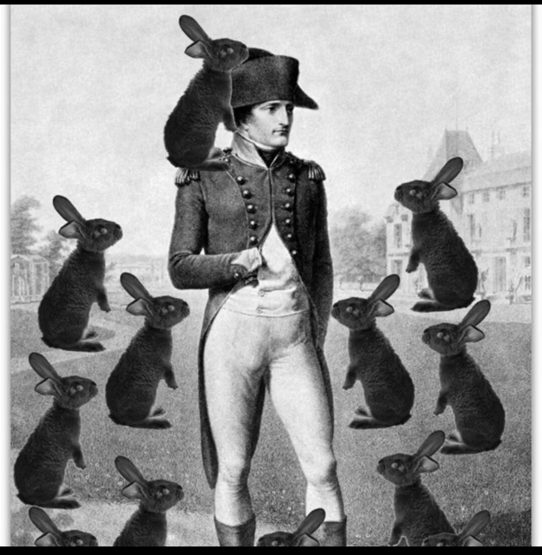 Источник: comedy.com