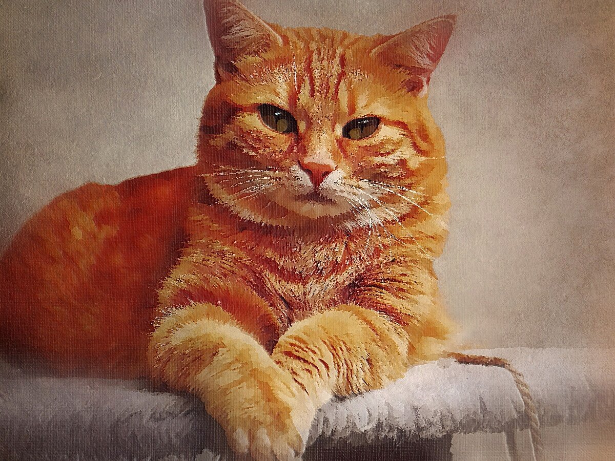 Для иллюстрации использована обработанная фотография с бесплатного фотостока pixabay.com