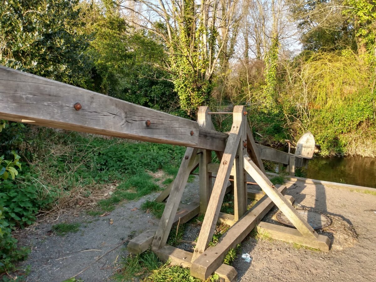 Посмотрите какая прелесть.  Фото из личного архива 