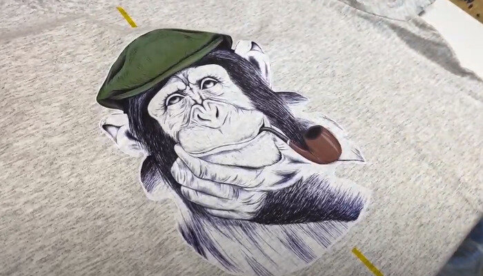 Фото 12. Перенесенное изображение