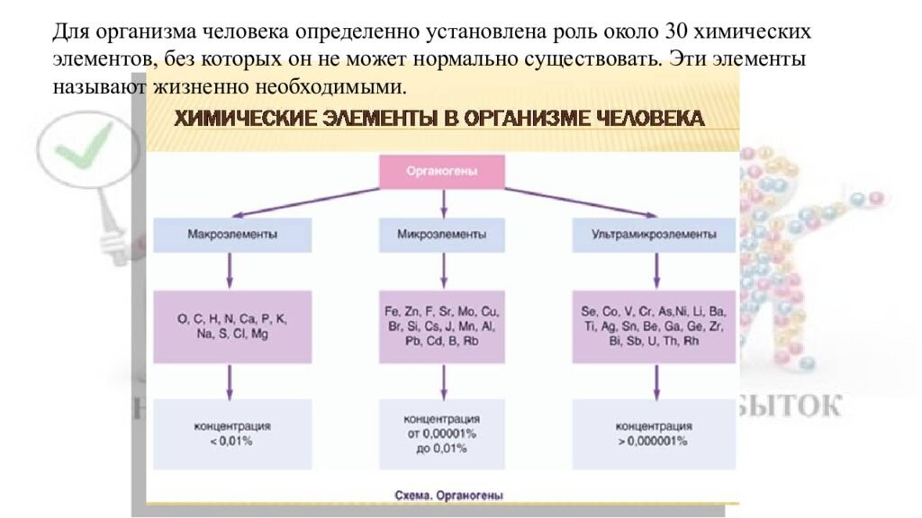 Презентация на тему химические элементы в организме человека