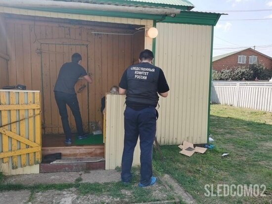     СУ СК РФ ПО РБ