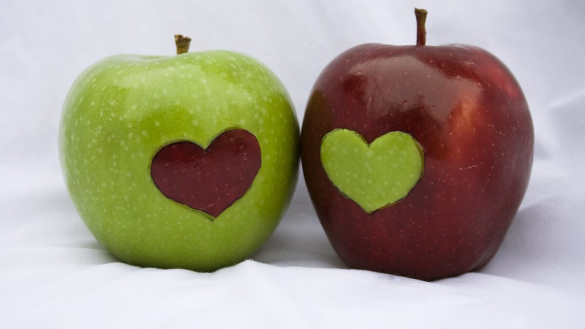 Изображение взято из открытых источников