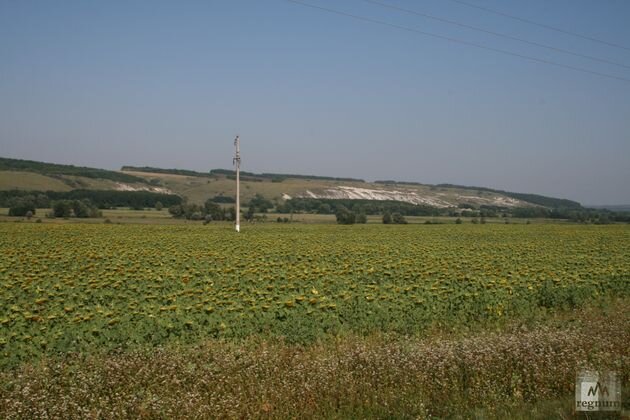    Харьковская область, по дороге в Купянск Марина Захарова © ИА REGNUM