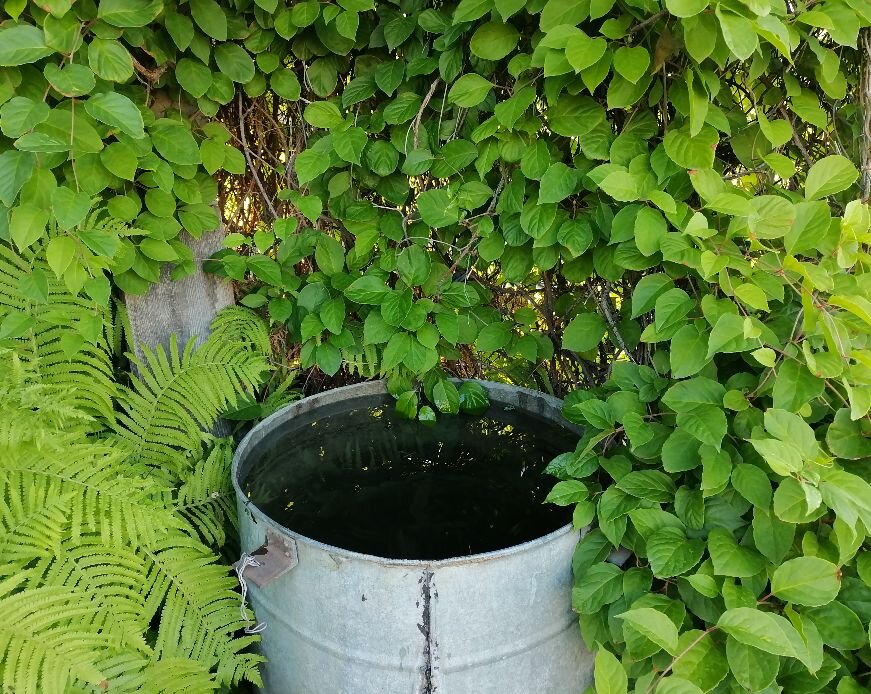 Бачок около крыльца