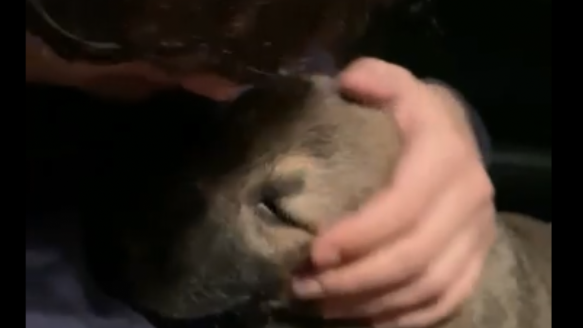 -2-3