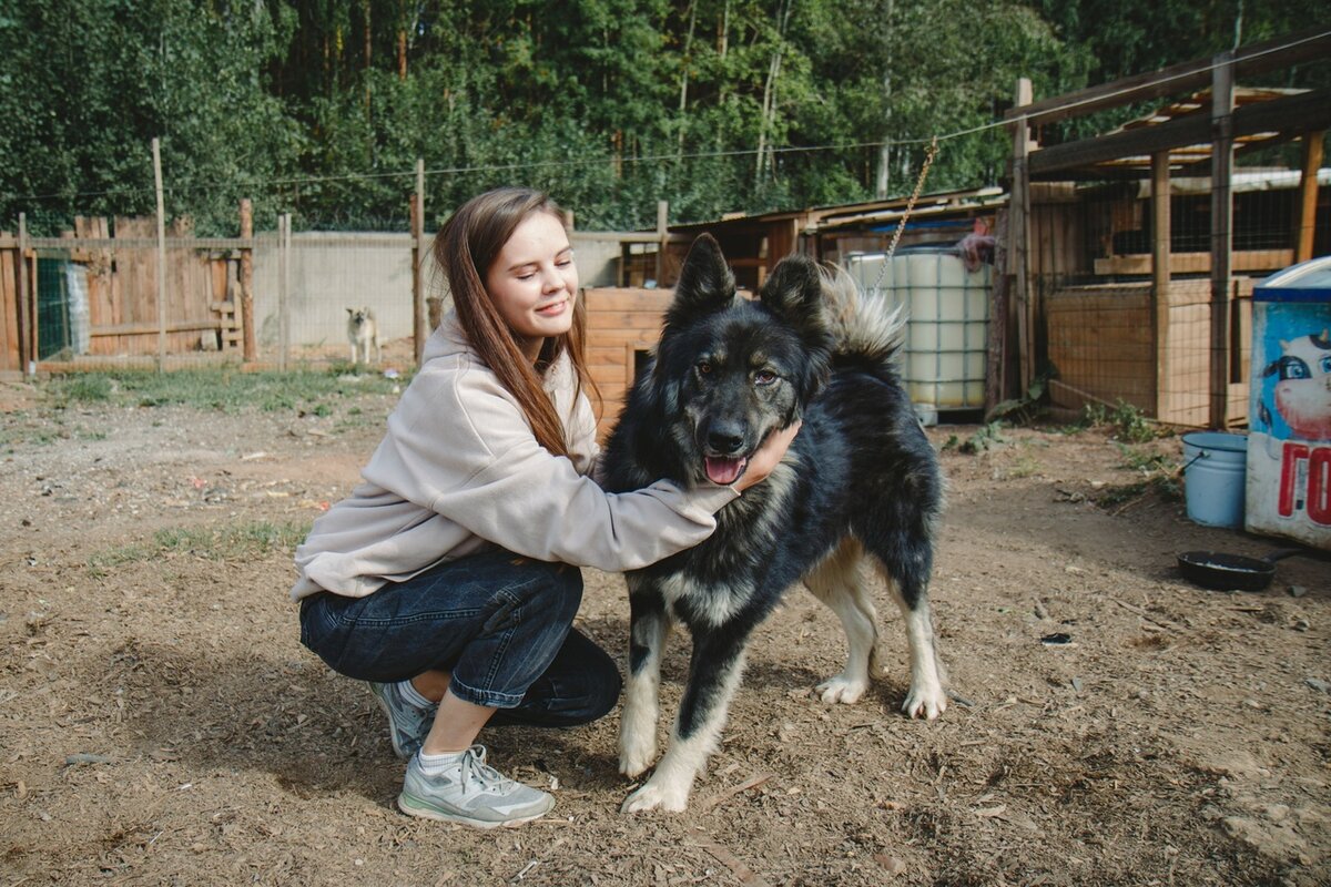 В «Надин Ковчег» приехали друзья, привезли подарки с феста «Человек собаке  дом» | «Надин Ковчег» | Дзен