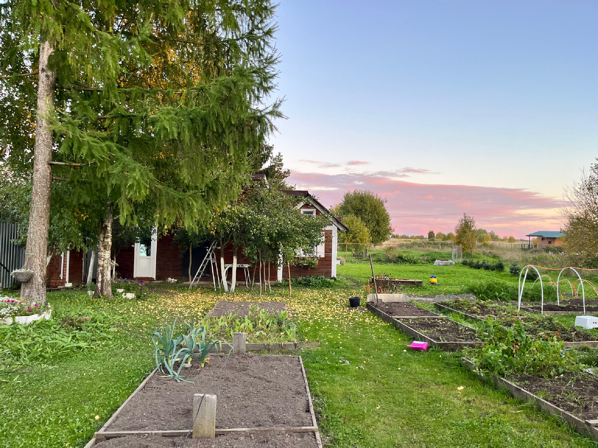 Почему мы выбрали именно этот участок? Не совершайте наших ошибок | ТРИ ...