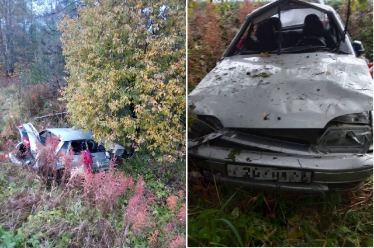    В Тверской области водитель сбежал с места ДТП и оставил раненого пассажира