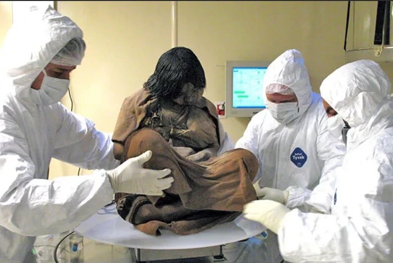 Яндекс.Картинки