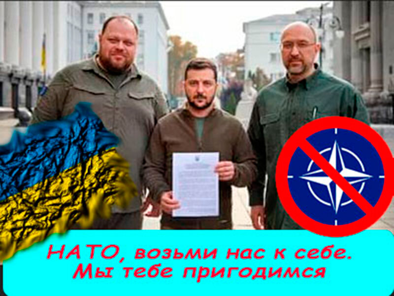 Подписывайтесь на наш канал "Нарполит" и не упустите свежие политические тренды! 