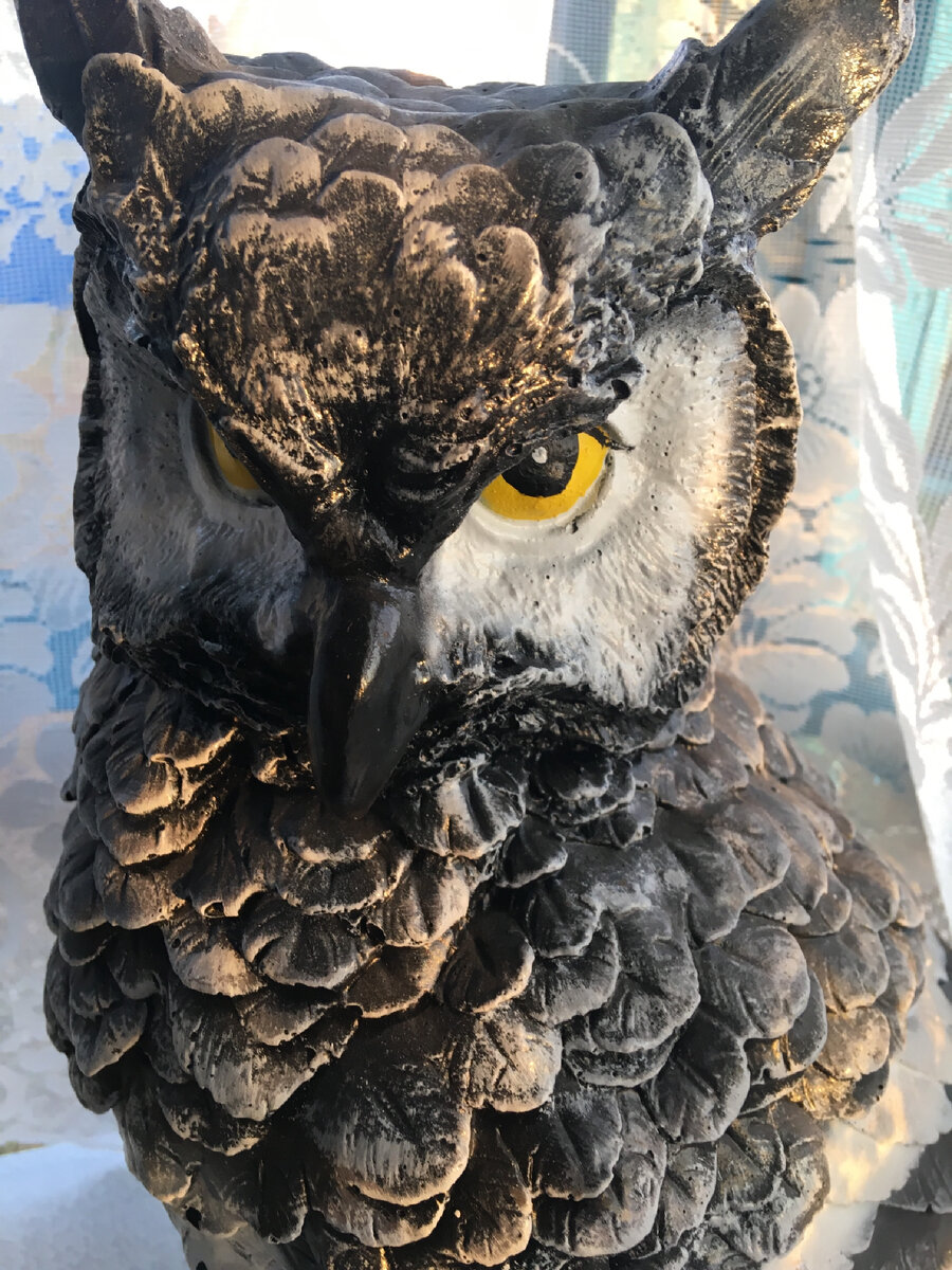 И только учителю было неловко за неожиданно вырвавшиеся слова 